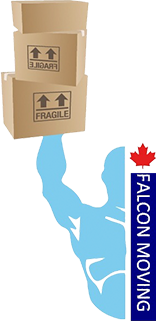 Canada Moving Falcon