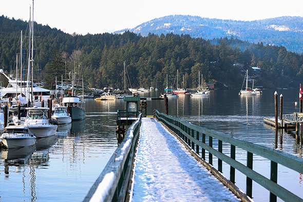 Moving to Vancouver Island is Effortless with Our Skilled Moving Team